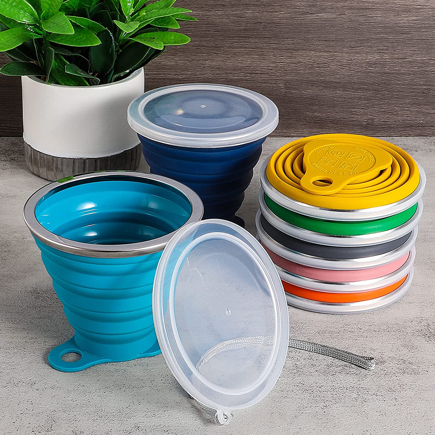 Collapsible Silicone Bowl